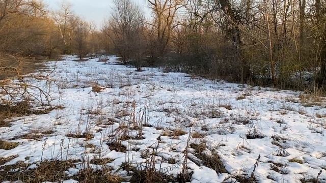 Весна на Дону. 11 марта 2023