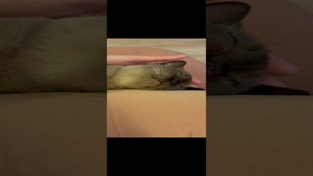 02-01-2025