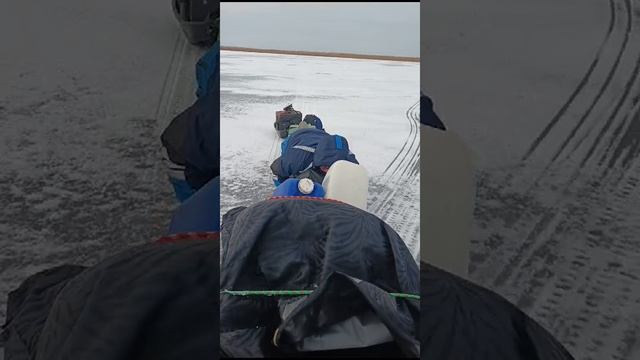 мотособака белка 6.5 л