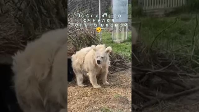Проспался #юмор