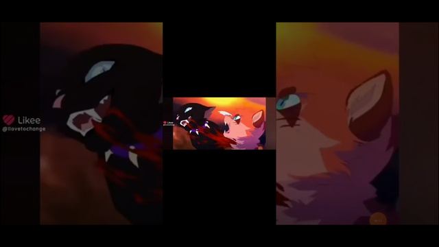 1000109659.mp4