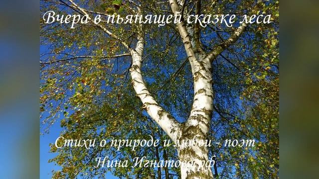 "Вчера в пьянящей сказке леса"- стихи о природе и любви - поэт Нина Игнатова