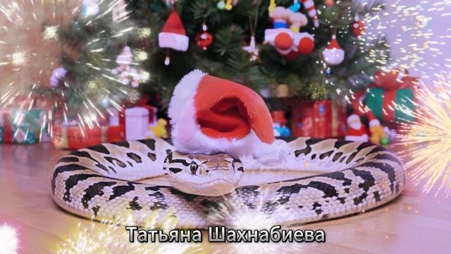 По Земле уже шагает двадцать пятый год ...