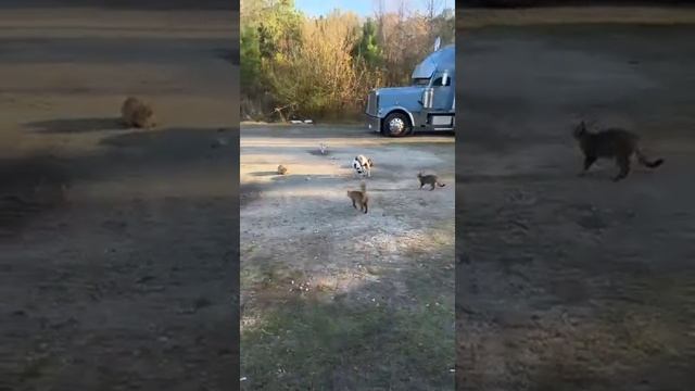 Забрёл не в тот район