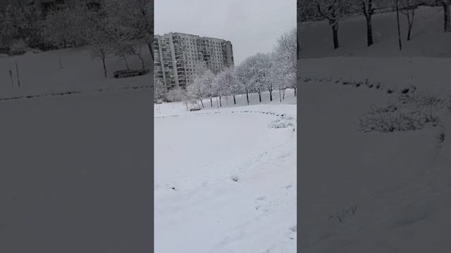 Это наступила зима