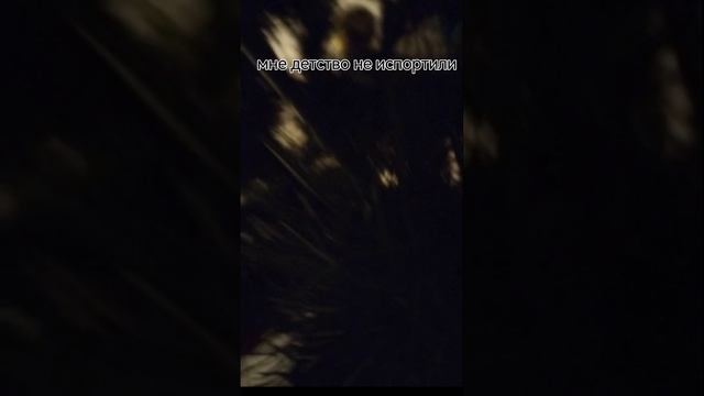 petal_20250102_223051.mp4