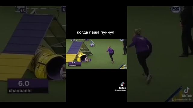 давай давай шрек