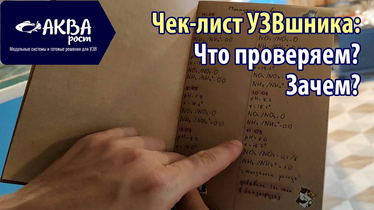 Как запустить биофильтр в УЗВ Чек лист УЗВшника  #узв #рыба