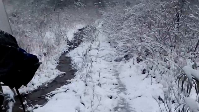 За облепихой на мотоцикле Урал по снегу.