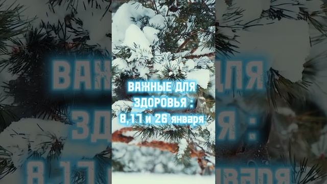 1000029556.mp4