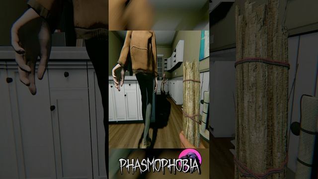 Накормил призрака Phasmophobia #phasmophobia