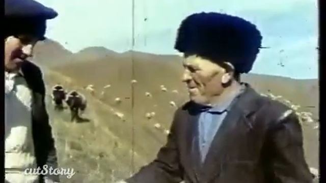 Сумбатль кино6