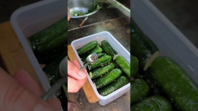 супер хрустящие малосольные огурцы