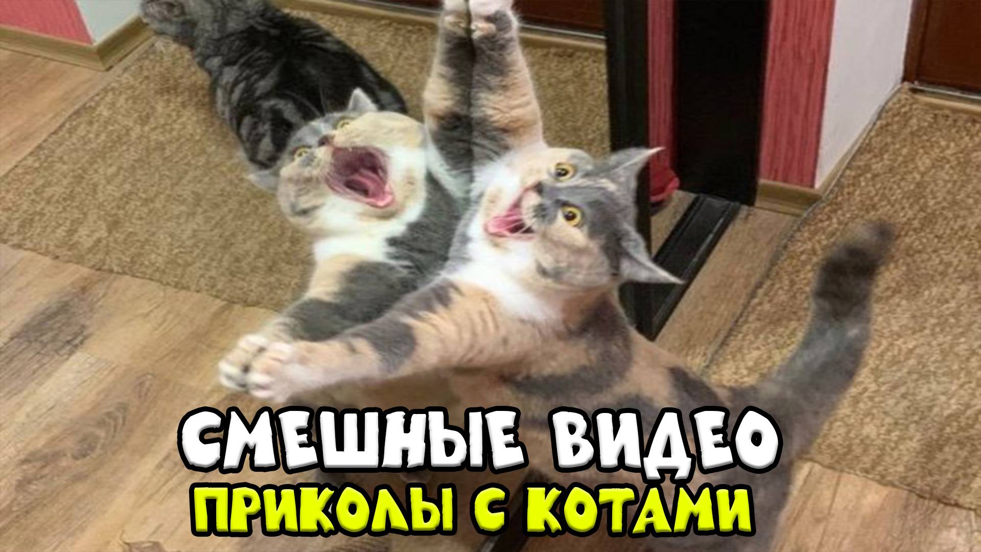 Лучшие приколы 😺 Коты против праздника! 🐈 Видео смешных котов и котят для хорошего настроения! 😻