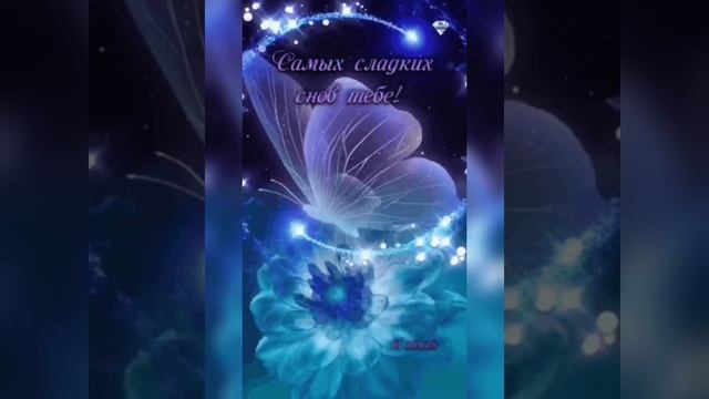 спокойной ночи