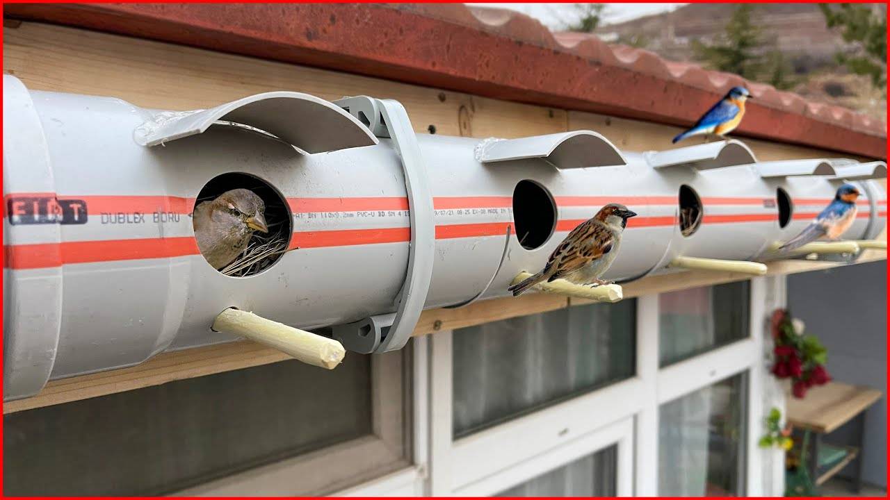 Необычная идея: изготовление скворечника из труб ПВХ.