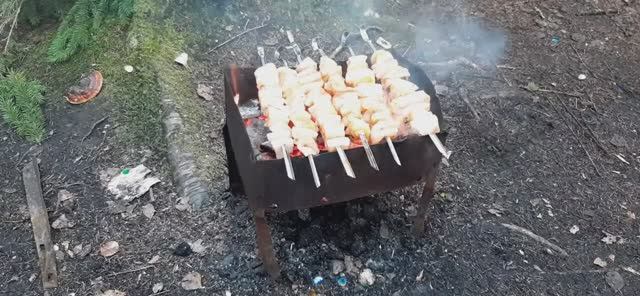 Шашлык из кальмаров в зимнем лесу
