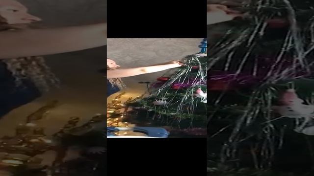 1000033019.mp4