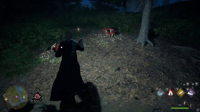 Hogwarts Legacy Квест Карта с парящими свечами