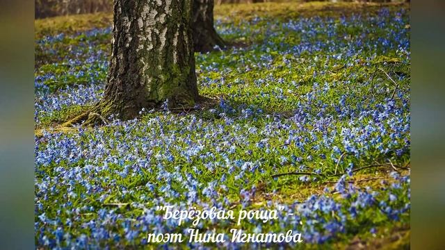 Берёзовая роща - поэт Нина Игнатова