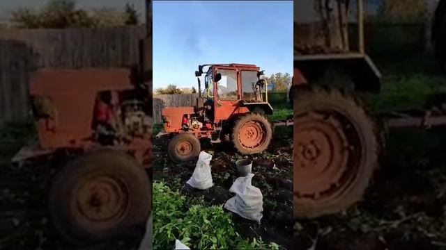 1000048213.mp4