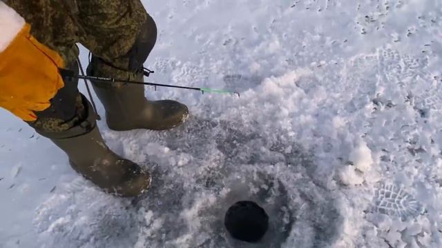 ЛОВЛЯ ЩУКИ НА ЖЕРЛИЦЫ. Чашушули из ЛОСЯТИНЫ в казане. Клёв белой рыбы на мормышку. Зимняя рыбалка