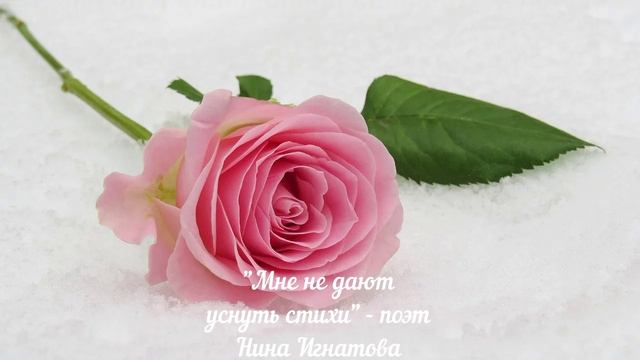 МНЕ НЕ ДАЮТ УСНУТЬ СТИХИ - ПОЭТ НИНА ИГНАТОВА