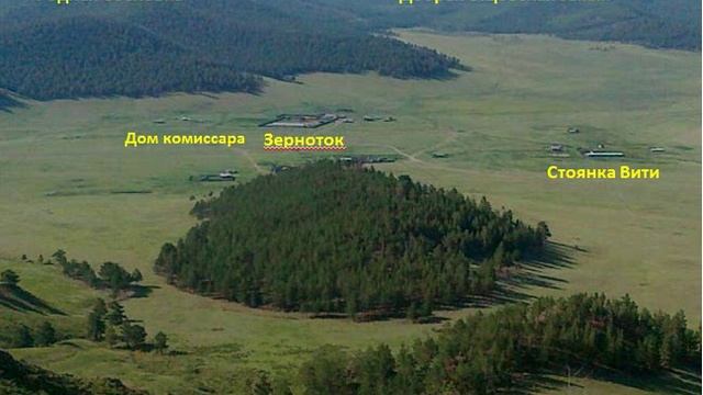 Родная сосновка