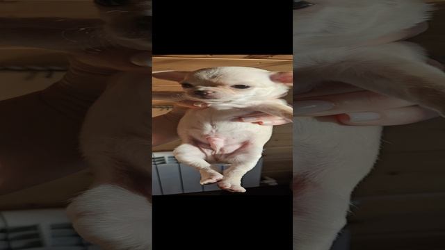 1000018573.mp4
