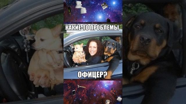 Нет проблем