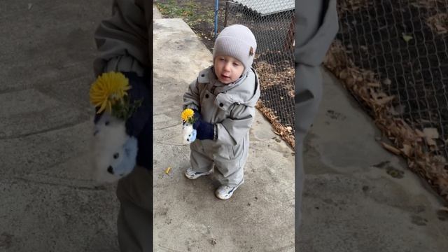 Детки такие детки