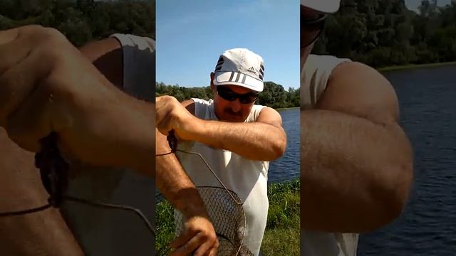 Отборные лещи на фидер! Вот это встретили годовщину с супругой на природе!