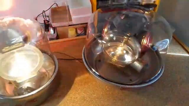 ARROW 530 & 531