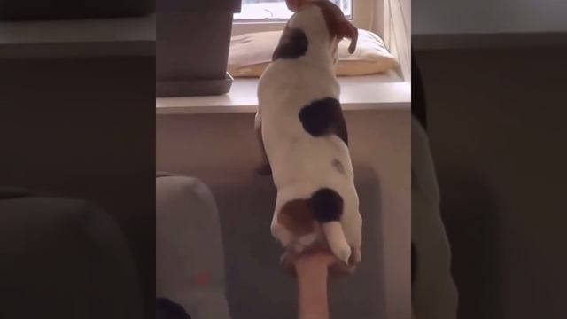 1000070193.mp4