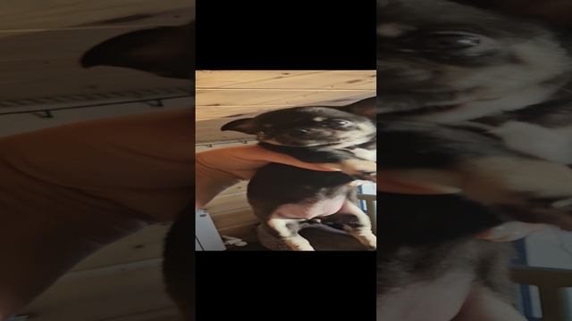 1000018571.mp4