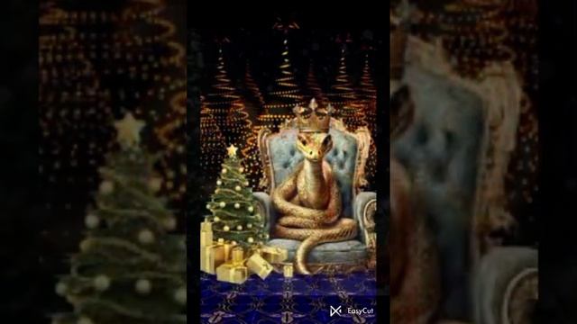 QV_1735762915508.mp4