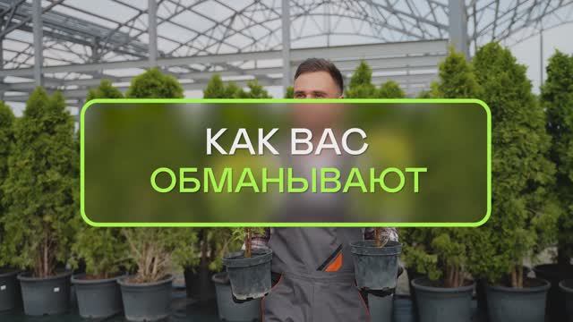 10 признаков что вас РАЗВОДЯТ ландшафтные архитекторы и магазины?
