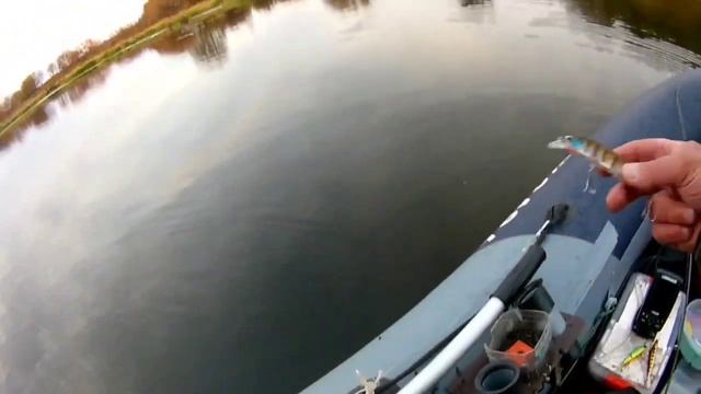 Воблеры от Bearking(без комментариев)  Ударная троица!