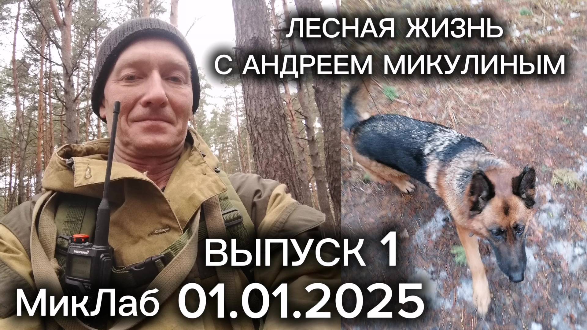 Лесная Жизнь с Андреем Микулиным. Выпуск от 01.01.2025. МикЛаб