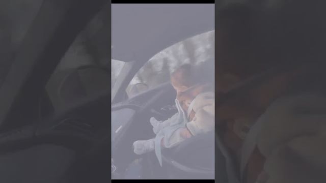 1000003878.mp4