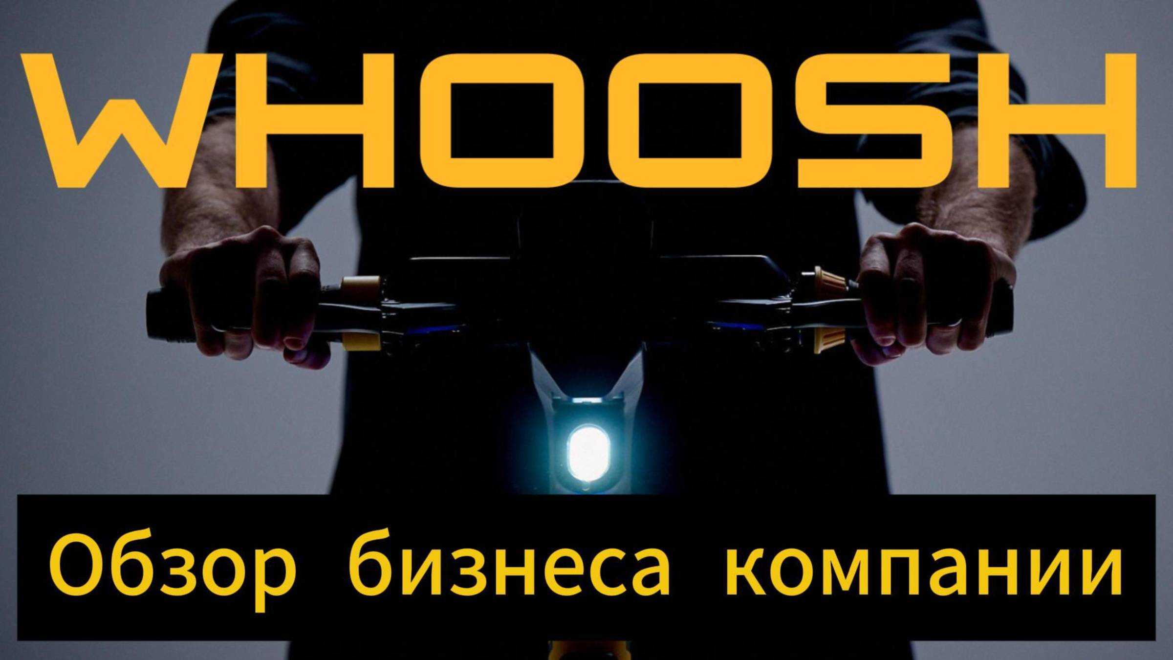 Обзор бизнеса компании Whoosh