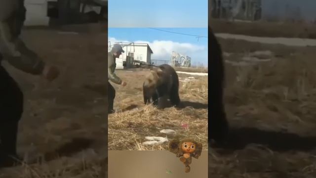Братушки #юмор