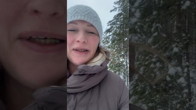 Прогулка по зимнему лесу.