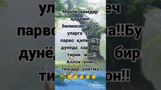 scene_output.mp4