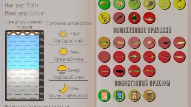 РЕАЛЬНАЯ РЫБАЛКА 2 | САХАЛИНСКИЙ ОСЁТР