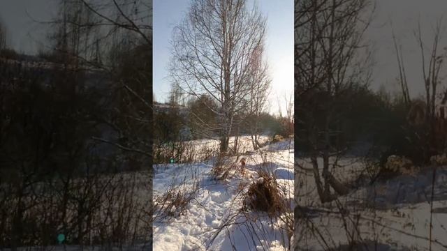 прогулка