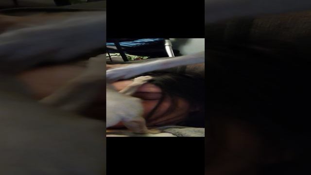 1000037211.mp4