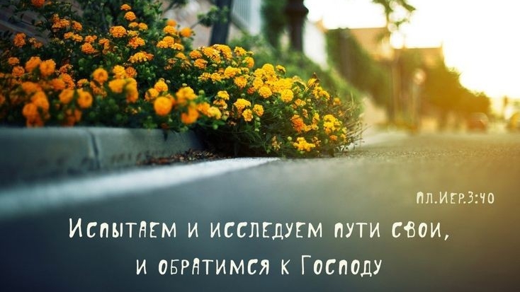 Во Свете Христа | христианский стих