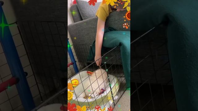 Как всё начиналось