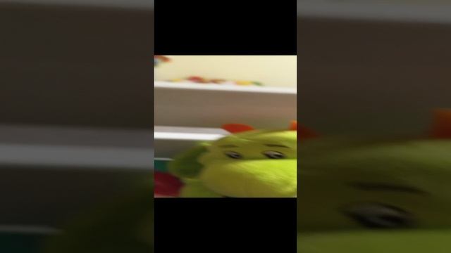 1000003033.mp4